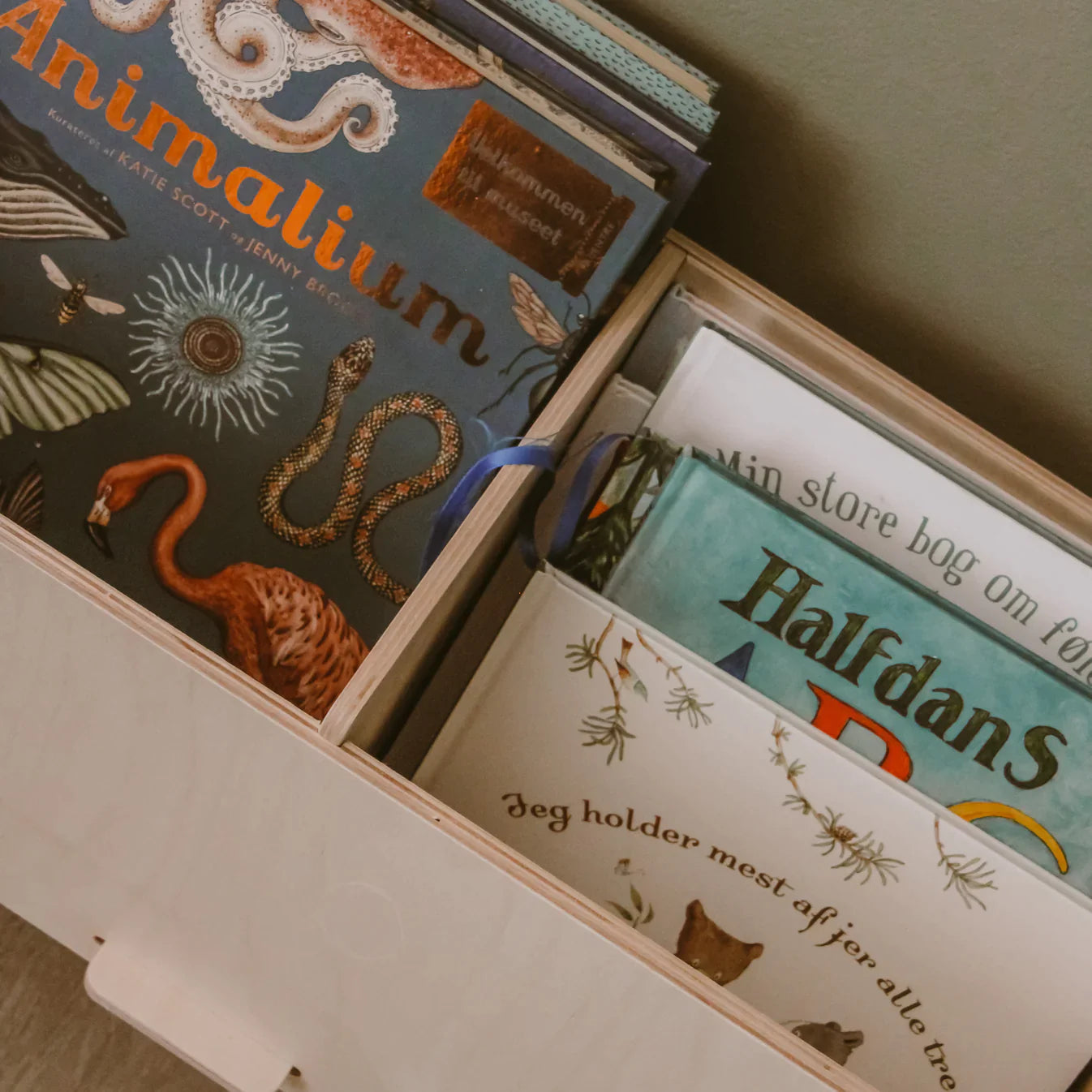 Buch/Aufbewahrungsbox Albert mit 2 Fächern